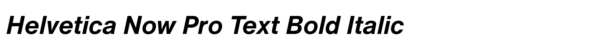 Helvetica Now Pro Text Bold Italic image